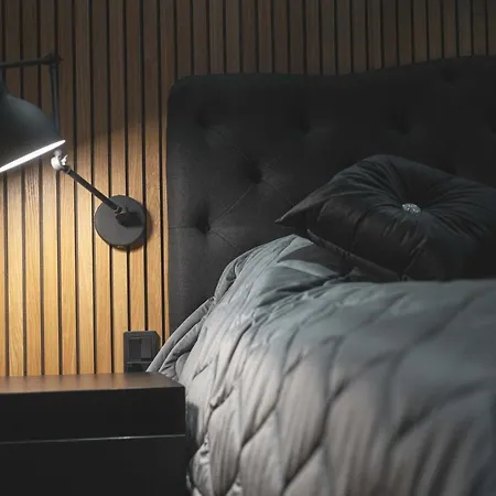 公寓 Royal Penthouse 罗瓦涅米