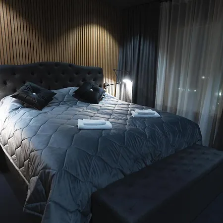 Royal Penthouse 公寓 罗瓦涅米