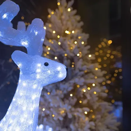 Royal Penthouse 公寓 罗瓦涅米